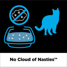 Cloud Control Platinum Clumping Cat Litter 37LB