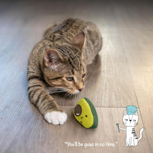 Lil' Avocato Dental Health Catnip Cat Chew Toy