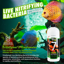 Aquatics zyme 7 Live Nitrifying Bacteria Naturally Removes Amonia & Nitrite for Freshwater Fish (32-Ounce)