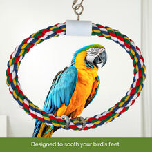 Pet Swing N' Perch, Large