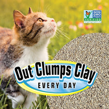 All Natural Clumping Cat Litter, 20 Pound (320Oz 1 Pack) - Alternative to Clay and Pellet Litter - Chemical and 99% Dust Free - Unscented and Lightweight