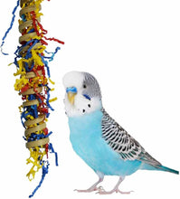 Super Bird Creations SB779 Fiesta Millet Holder Foraging Toy - Handcrafted Bird Toys with Curly Palm Spring & Crinkle Paper, Foraging Toys for Small to Medium Birds, Perfect Cockatiel Toys, 9