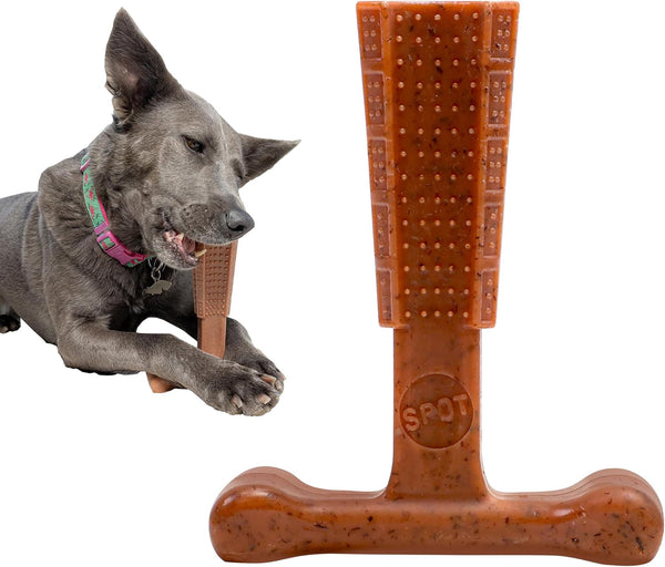 Bam-Bones plus T Bone - Bamboo Fiber & Nylon, Durable Long Lasting Dog Chew for Aggressive Chewers – Great Toy for Adult Dogs & Teething Puppies under 60Lbs, Non-Splintering, 6In, Beef Flavor