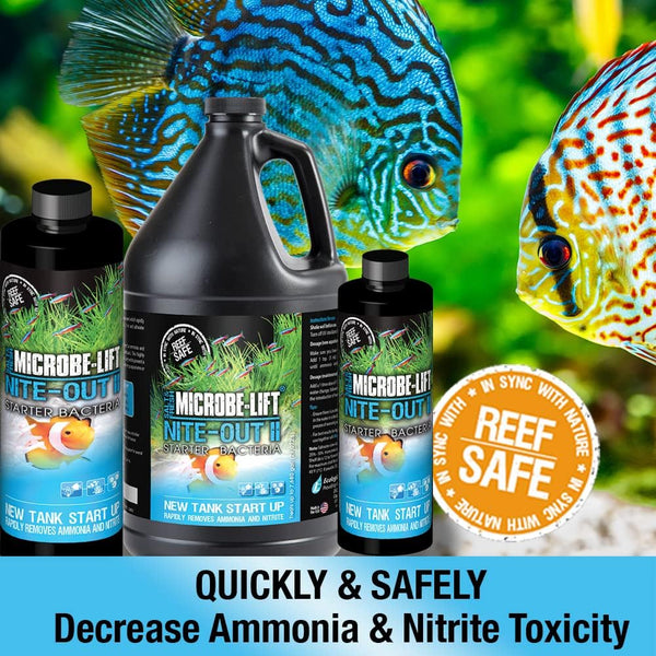 NITEH04 Nite-Out II Aquarium and Fish Tank Cleaner for Rapid Ammonia and Nitrite Reduction, Freshwater and Saltwater, 4 Ounces