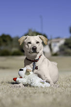 Plush Dog Toy, Lambchop, 10