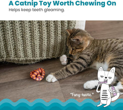 Catnip Plaque Away Pretzel Dental Cat Chew Toy