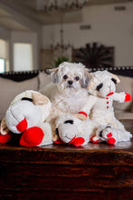 Plush Dog Toy, Lambchop, 10