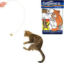 Products 101 Interactive Cat Toy, Brown