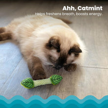 Fresh Breath Mint Stick Dental Cat Chew Toy