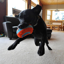 Chuckit Indoor Fetch Roller Dog Toy (7.5 Inch), Orange and Blue