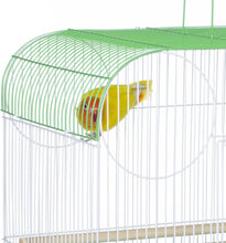 Prevue Pet Products South Beach Flat Top Bird Cage, Lime Green (SP50091),14 1/8