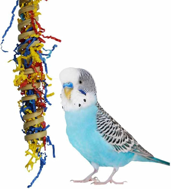 Super Bird Creations SB779 Fiesta Millet Holder Foraging Toy - Handcrafted Bird Toys with Curly Palm Spring & Crinkle Paper, Foraging Toys for Small to Medium Birds, Perfect Cockatiel Toys, 9" X 1.5"