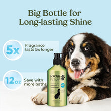 Pawfume Dog Shampoo and Conditioner – Hypoallergenic Dog Shampoo for Smelly Dogs – Best Dog Shampoos & Conditioners – Probiotic Pet Shampoo for Dogs – Best Dog Shampoo for Puppies (Blue Ribbon)