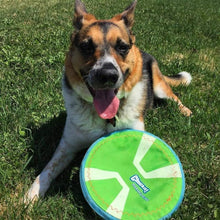 Chuckit Max Glow Paraflight Flying Disc Dog Toy, Large (9.75