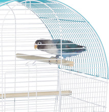 South Beach Dome Top Bird Cage, Teal (SP50071),14 1/8