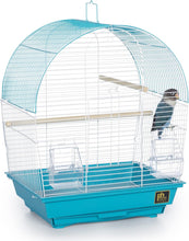 South Beach Dome Top Bird Cage, Teal (SP50071),14 1/8