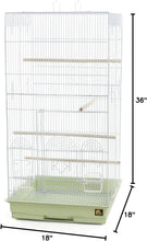 SPECONO1818H-SG Tall Tiel Cage, Sage Green