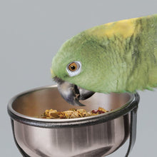 EZ Care Pet Bird T Stand 34