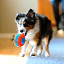 Chuckit Indoor Fetch Roller Dog Toy (7.5 Inch), Orange and Blue