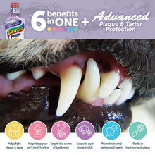 Advanced Plaque and Tartar Water Additive, 17Oz – Dog Teeth Cleaning Formula to Freshen Breath and Improve Overall Oral Health