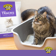 Premium Clumping Cat Litter - Clean Tracks - Low Dust, Low Tracking, Hard Clumping, Superior Odor Control, Unscented & Natural Ingredients 40 LBS