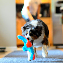 Indoor Fetch Squirrel Dog Toy (9 Inch), Orange and Blue