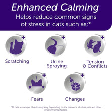 Optimum Cat, Enhanced Calming Pheromone Diffuser, 30 Day Starter Kit (48 Ml), Translucent