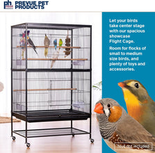 Wrought Iron Flight Cage with Stand F040 Black Bird Cage, 31-Inch by 20-1/2-Inch by 53-Inch