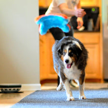 Indoor Fetch Squirrel Dog Toy (9 Inch), Orange and Blue