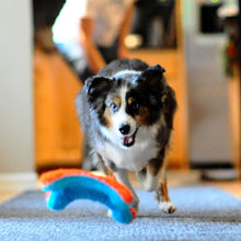 Indoor Fetch Squirrel Dog Toy (9 Inch), Orange and Blue