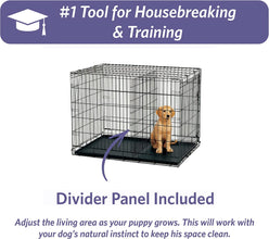 Newly Enhanced Single Door Icrate Dog Crate, Includes Leak-Proof Pan, Floor Protecting Feet , Divider Pane L & New Patented Features