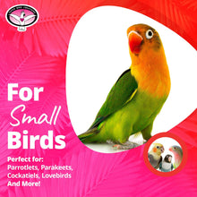 SB541 Crinkle Crinkle Little Star Bird Toy - Small Bird Size, Parrotlets, Cockatiels, Lovebirds - Foraging & Chew Toy - Stimulating Bird Toy for Enrichment - 6