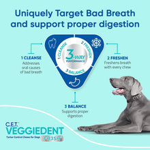 CET Veggiedent FR3SH Tartar Control Chews for Dogs, Small