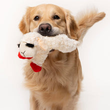 Plush Dog Toy, Lambchop, 10