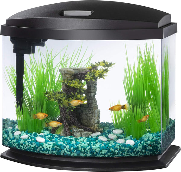 LED Minibow Small Aquarium Fish Tank Kit with Smartclean Technology, Black, 5 Gallon