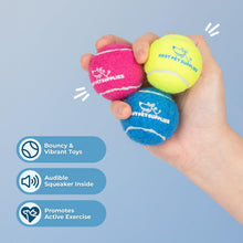 Squeaky Tennis Toys for Dogs, 4-Pack, Heavy-Duty Interactive Pet Toys for Throwing and Fetching, Supports Exercise and Natural Behavior Training, Durable - Small