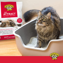 Premium Clumping Cat Litter - Cat Attract - 99% Dust-Free, Low Tracking, Hard Clumping, Superior Odor Control, Natural Herbal Attractant, Unscented & Natural Ingredients, 40 Lb