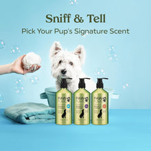 Pawfume Dog Shampoo and Conditioner – Hypoallergenic Dog Shampoo for Smelly Dogs – Best Dog Shampoos & Conditioners – Probiotic Pet Shampoo for Dogs – Best Dog Shampoo for Puppies (Blue Ribbon)