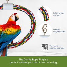 Pet Swing N' Perch, Large