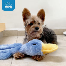 Crinkle Dog Toy for Small, Medium, and Large Breeds, Cute No Stuffing Duck with Soft Squeaker, Fun for Indoor Puppies and Senior Pups, Plush No Mess Chew and Play - Blue