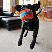 Chuckit Indoor Fetch Roller Dog Toy (7.5 Inch), Orange and Blue