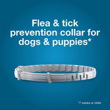 Small Dog Vet-Recommended Flea & Tick Treatment & Prevention Collar for Dogs under 18 Lbs. | 8 Months Protection