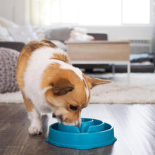 Fun Feeder Slo Bowl, Slow Feeder Dog Bowl, Medium/Mini, Turquoise