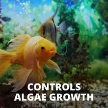 No More Algae Tablets, 8 Tablets, Controls Algae in Aquariums