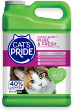 Premium Lightweight Clumping Litter: Pure & Fresh - up to 10 Days of Powerful Odor Control - Multi-Cat, Scented, 10 Pounds