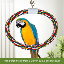 Pet Swing N' Perch, Large