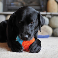 Chuckit Indoor Fetch Shaker Dog Toy (7.5 Inch), Orange and Blue